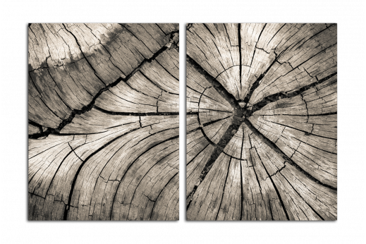 Модульная картина Текстура дерева